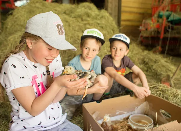 sommer-familienurlaub-kinderglueck-am-bauernhof