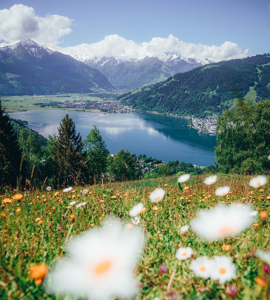 Aussicht auf den Zeller See