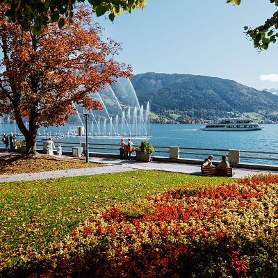 Der Zeller See im Herbst