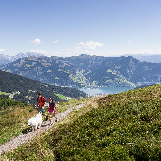 urlaub-mit-hund-in-zell-am-see-kaprun